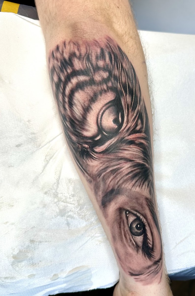 Unterarm-Tattoo: Eulenauge in Realismus